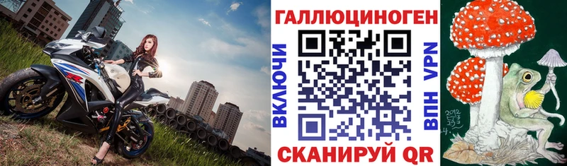 наркота Иннополис Галлюциногенные грибы Cubensis